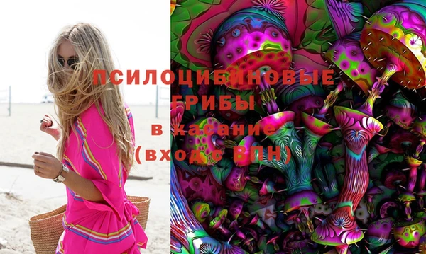 гашик Волоколамск